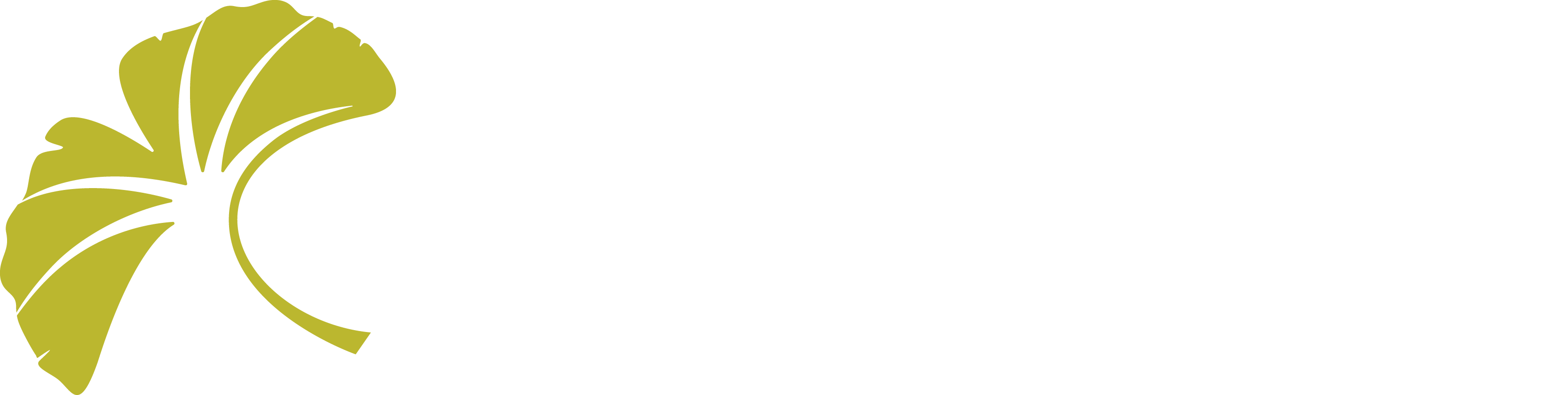 Stow_Healthcare_Masterfile_RGB_PrimaryLogo_OnDark_RGB